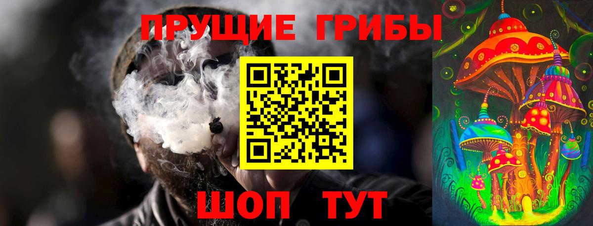 Звенигород  Галлюциногенные грибы MAGIC MUSHROOMS  Вход с VPN 